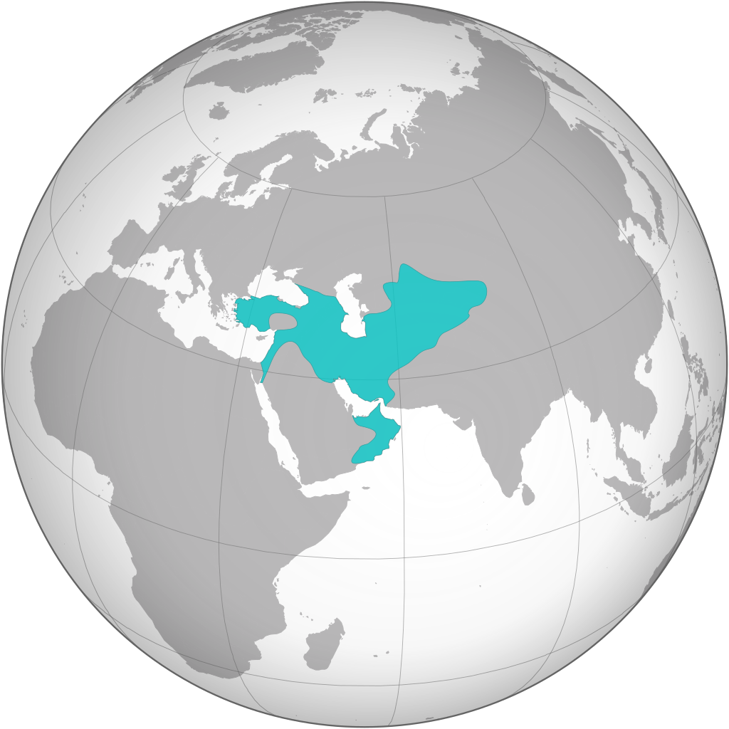 سلجوقیان